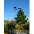 Outdoor Lighting China Supplier CE outdoor Solar street lighting pole 518 series